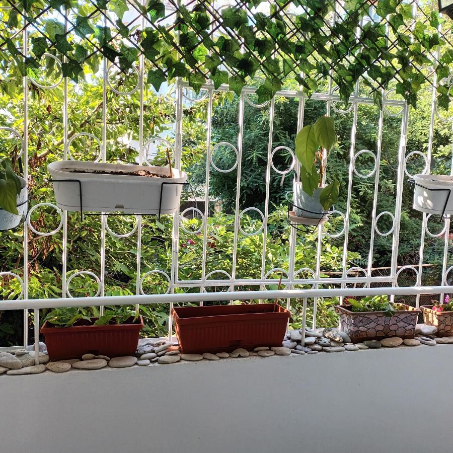 The Master And Margarita Apartment, Майстора И Маргарита 2 布尔加斯 外观 照片